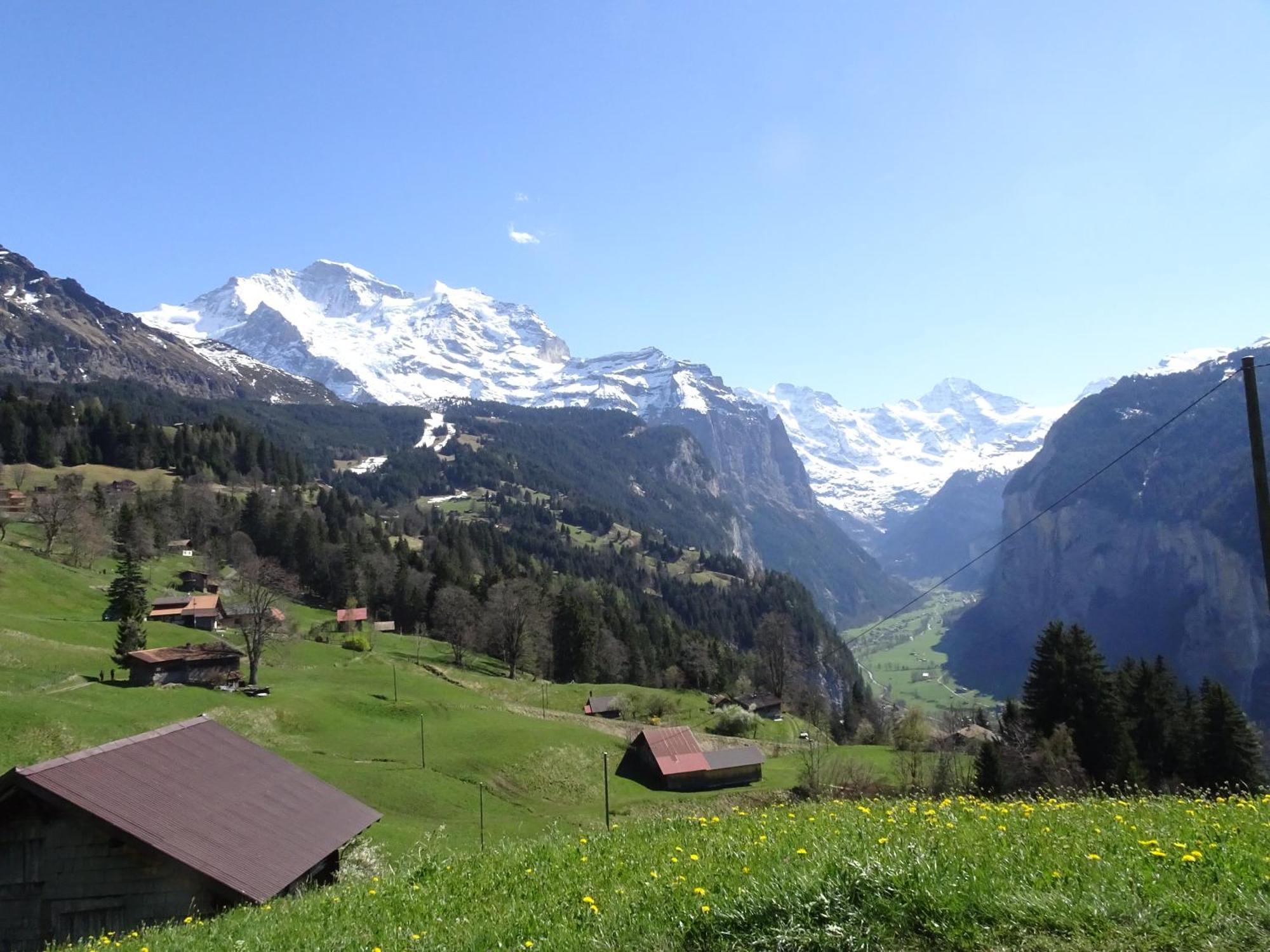 Chalet Alpina Gyger Wengen Eksteriør billede