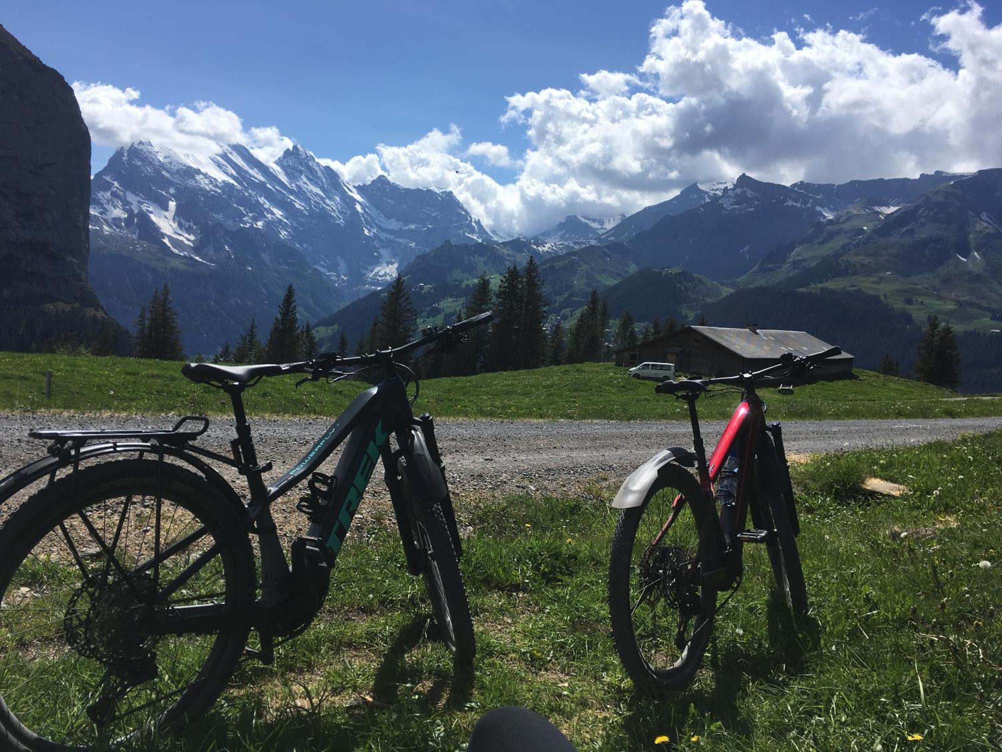 Chalet Alpina Gyger Wengen Eksteriør billede