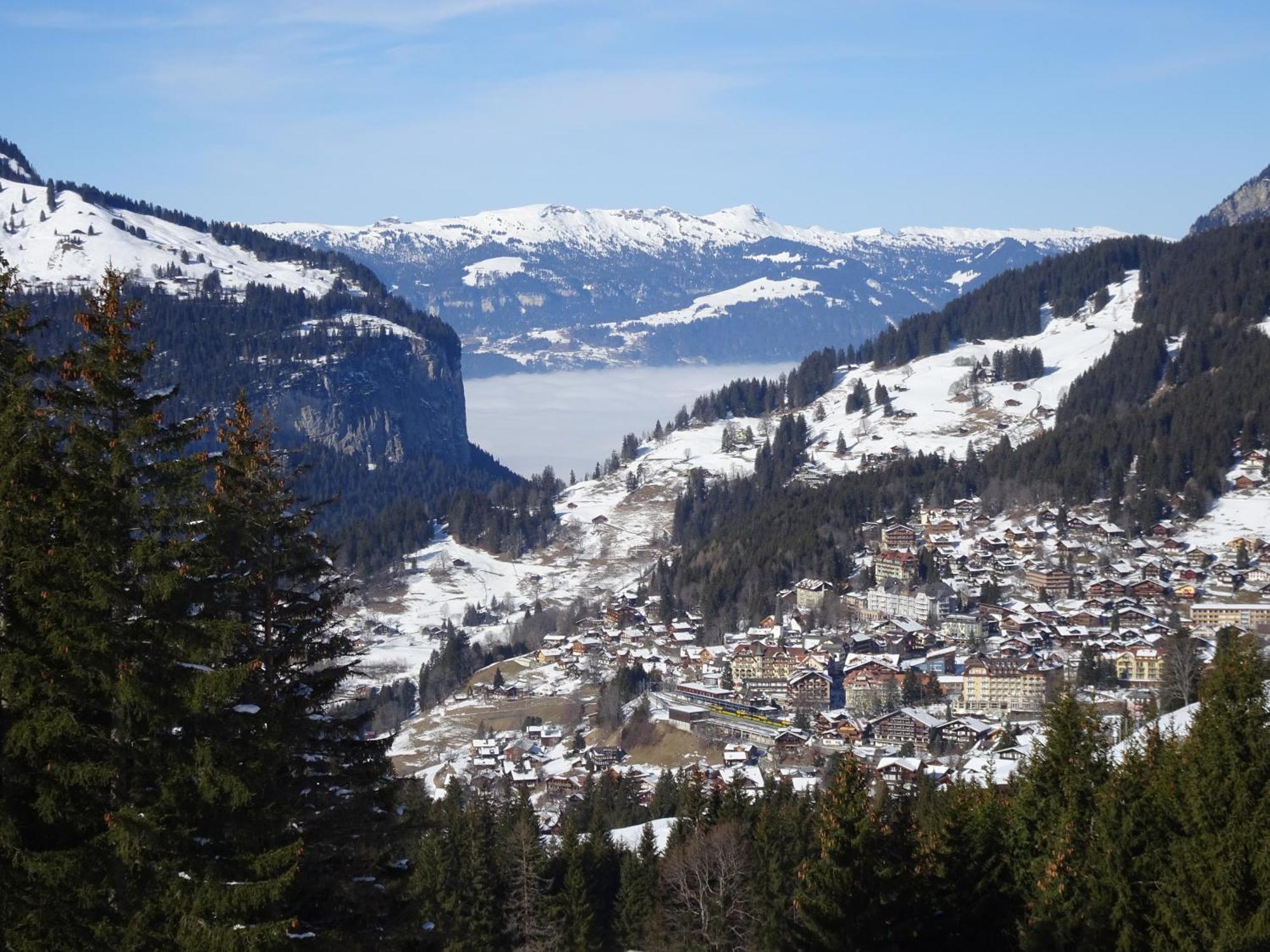 Chalet Alpina Gyger Wengen Eksteriør billede