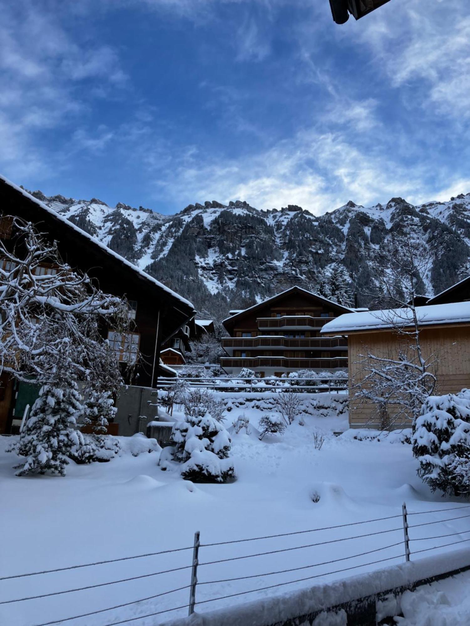 Chalet Alpina Gyger Wengen Eksteriør billede
